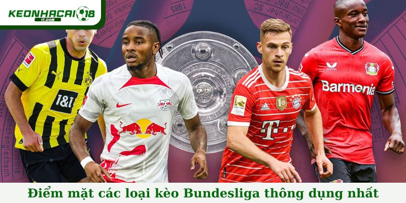Điểm mặt các loại kèo Bundesliga thông dụng nhất